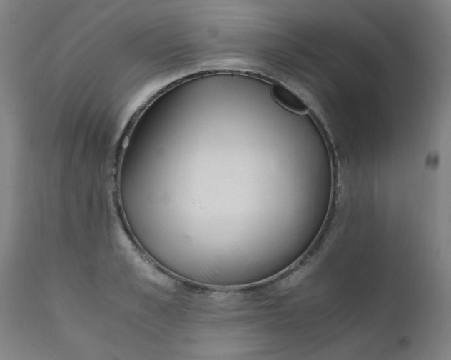 X0000110670989200906261253