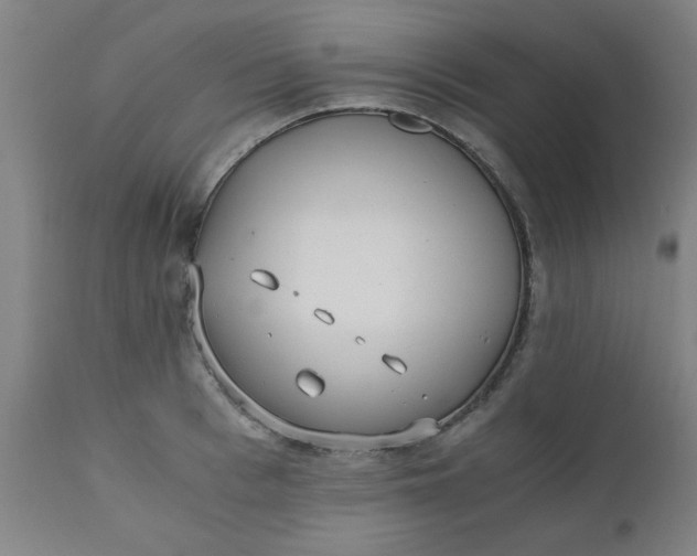 X0000110670993200906261253