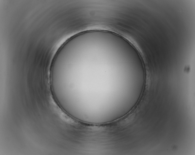 X0000110670996200906261253