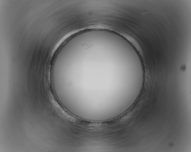 X0000110671000200906261253