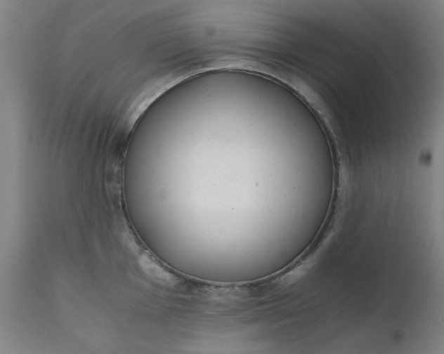 X0000110671001200906261253