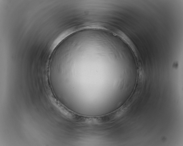 X0000110671002200906261253