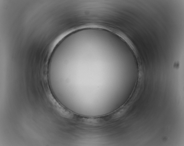 X0000110671004200906261253