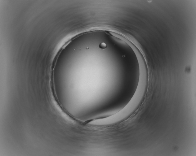 X0000110671005200906261253