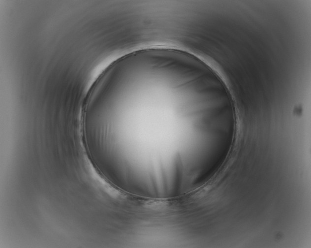 X0000110671006200906261253