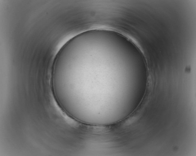 X0000110671007200906261253