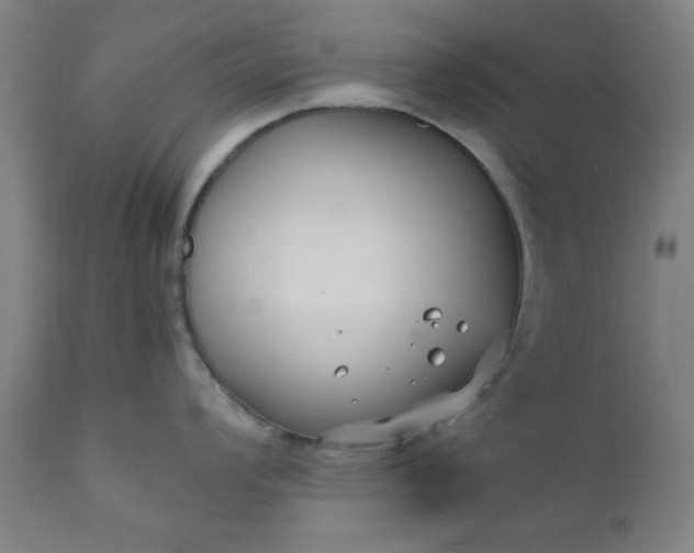 X0000110671008200906261253