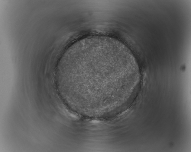 X0000110671009200906261252