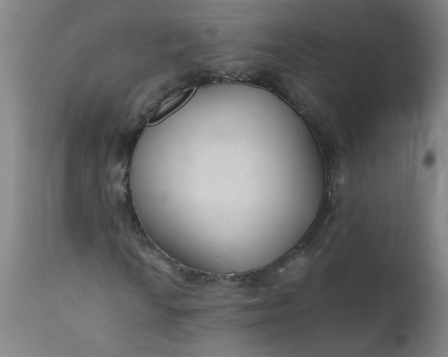 X0000110671010200906261252