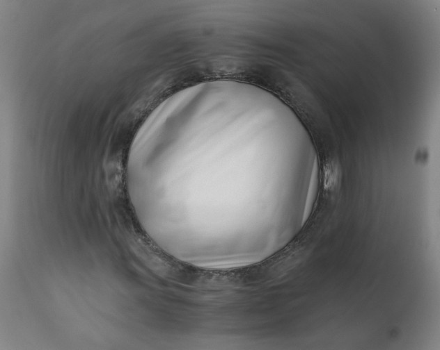 X0000110671011200906261252