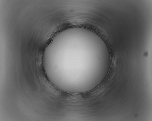 X0000110671012200906261252