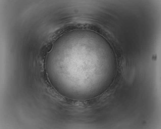 X0000110671013200906261252