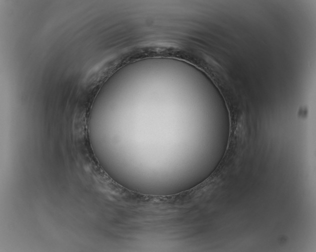 X0000110671014200906261252