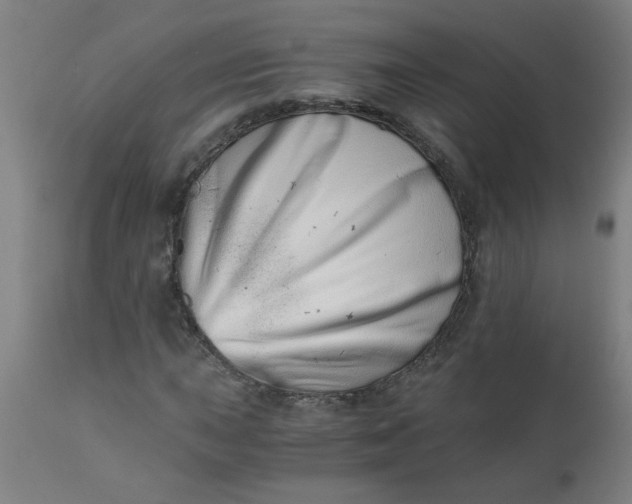 X0000110671015200906261252