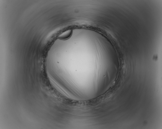 X0000110671016200906261252