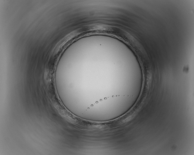 X0000110671017200906261252