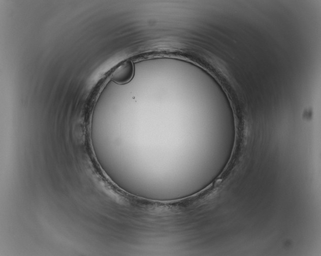 X0000110671018200906261252