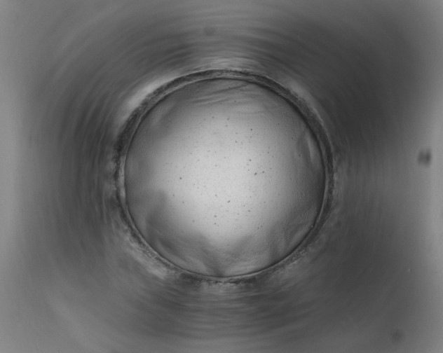 X0000110671019200906261252