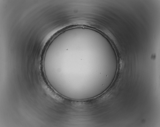 X0000110671020200906261252