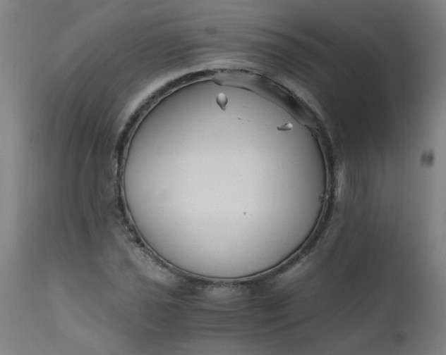 X0000110671021200906261252