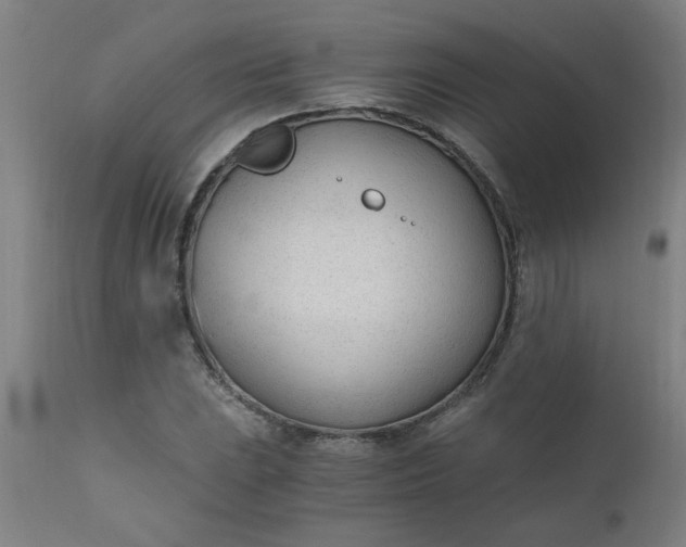 X0000110671023200906261252