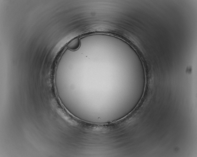 X0000110671026200906261252