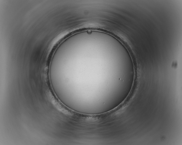 X0000110671029200906261252