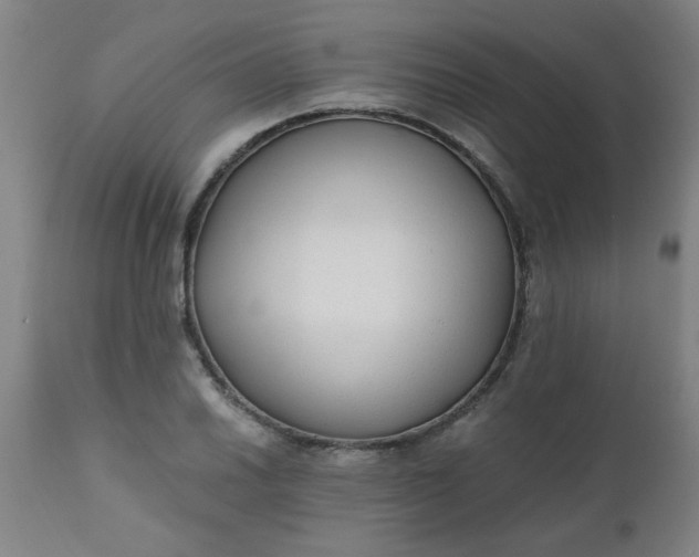 X0000110671030200906261252
