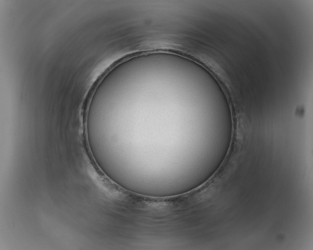 X0000110671031200906261252