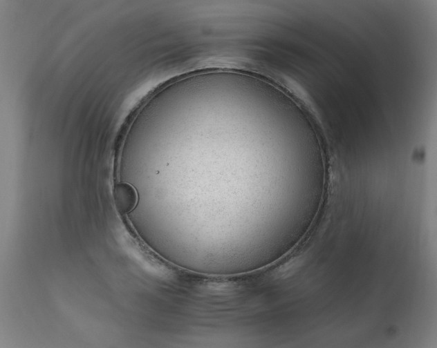 X0000110671035200906261252