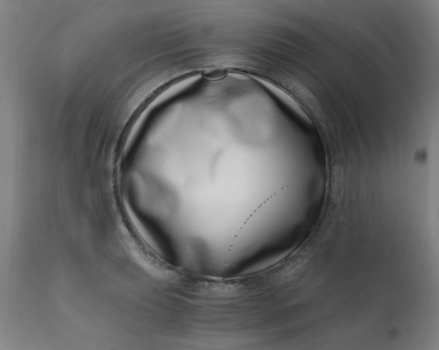 X0000110671039200906261252