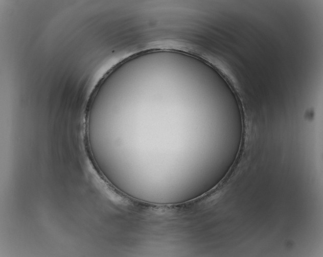 X0000110671040200906261252