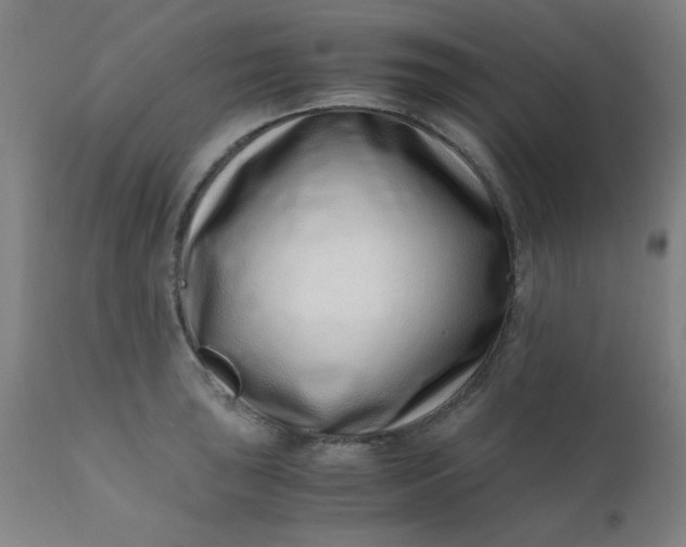 X0000110671043200906261252