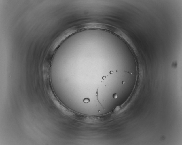 X0000110671049200906261253