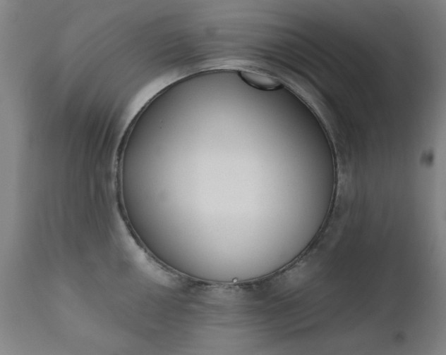X0000110671050200906261253