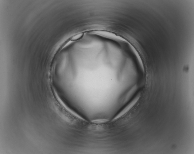 X0000110671051200906261253