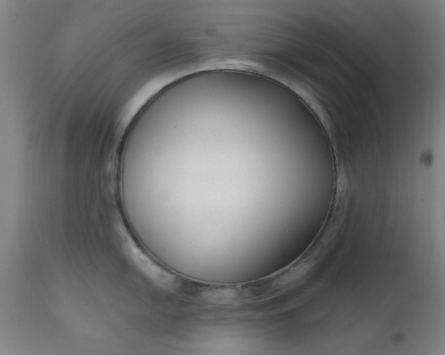 X0000110671054200906261253