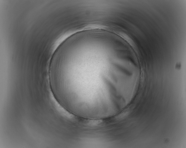 X0000110671055200906261253