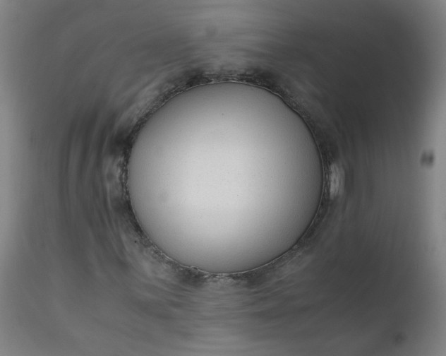 X0000110671059200906261252