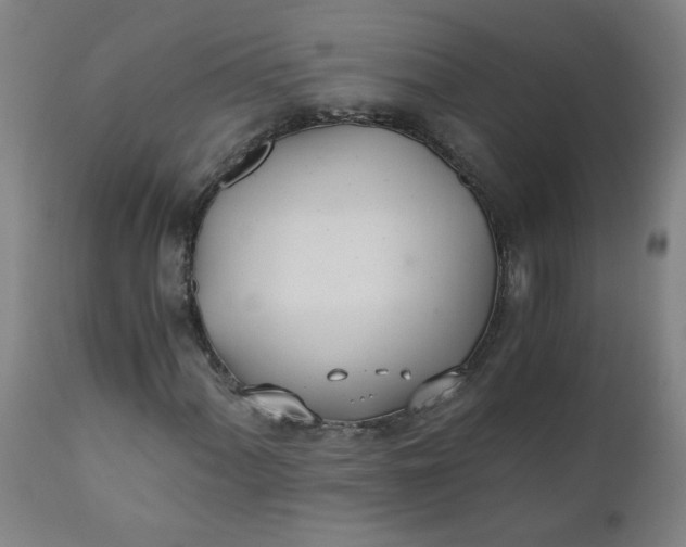 X0000110671060200906261252