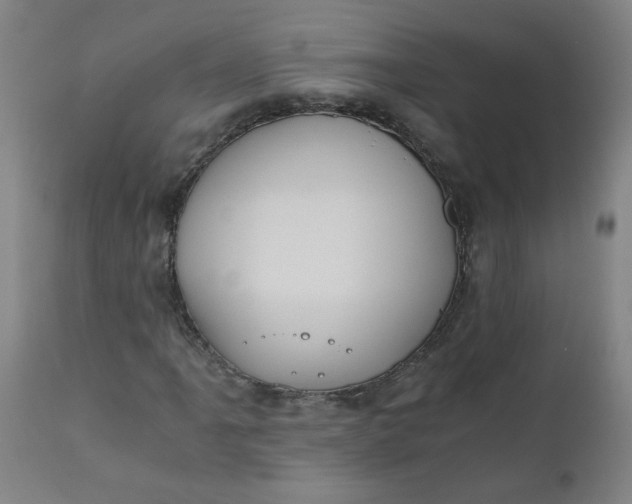 X0000110671061200906261252