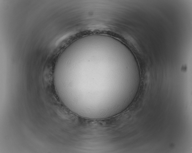 X0000110671063200906261252