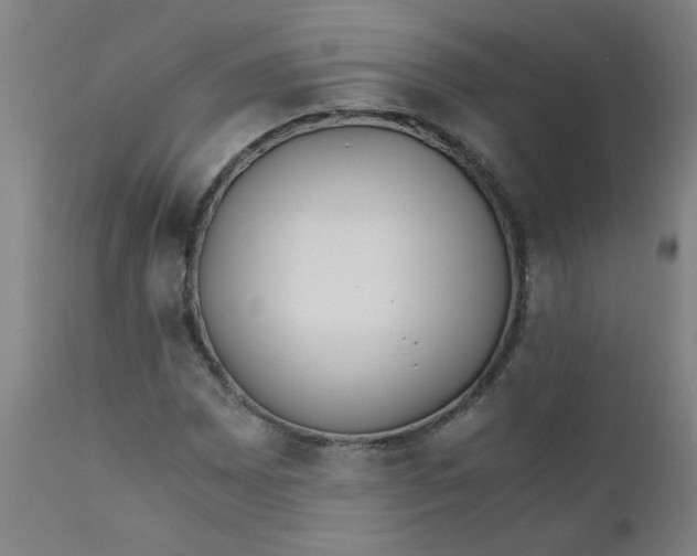 X0000110671065200906261252