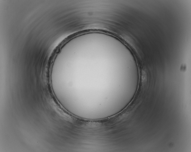X0000110671068200906261252