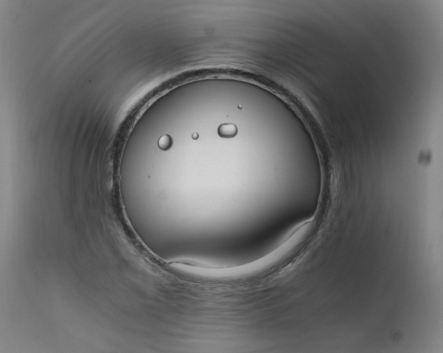 X0000110671069200906261252