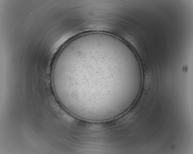 X0000110671071200906261252