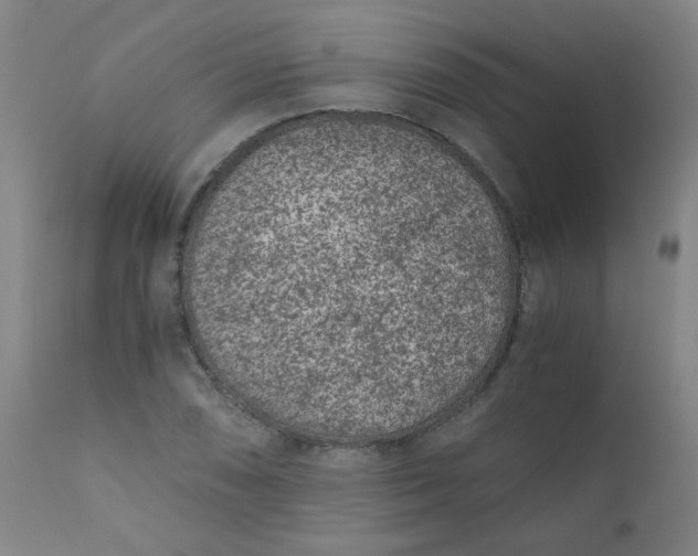 X0000110671074200906261252