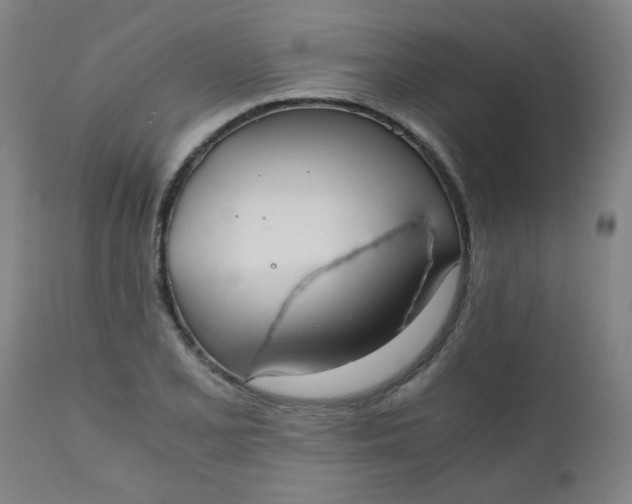 X0000110671077200906261252