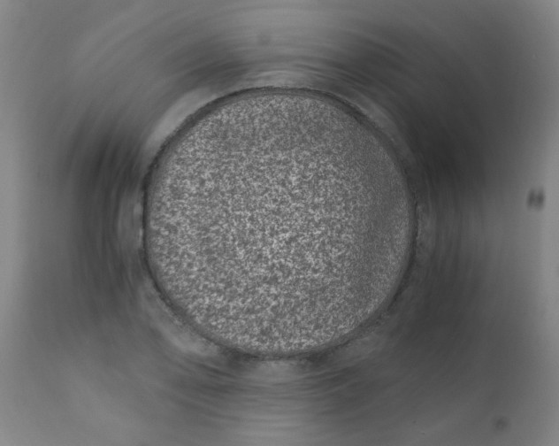 X0000110671078200906261252