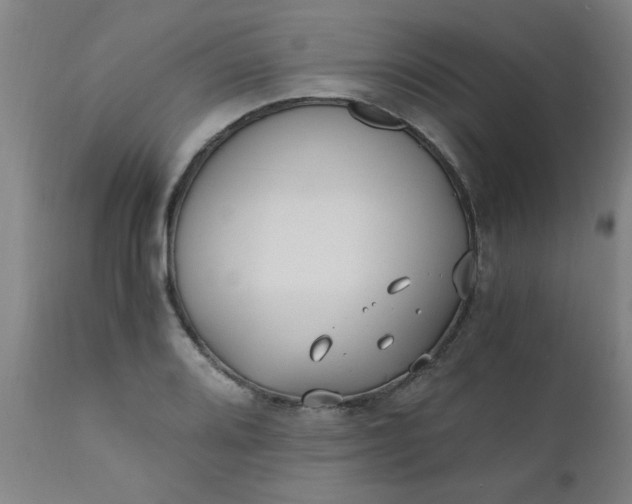 X0000110671080200906261252